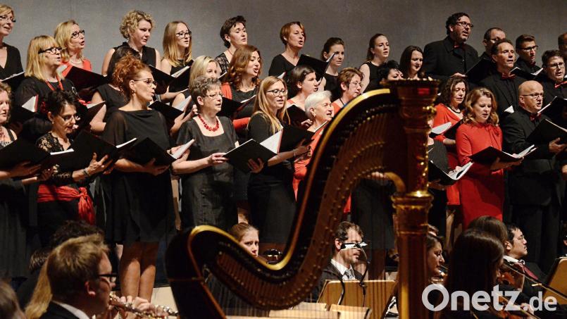 Bereits 2017 begeisterten Singing Witt und die Hofer Symphonikern, damals zugunsten des Fördervereins St. Sebastian. Archivbild: uz