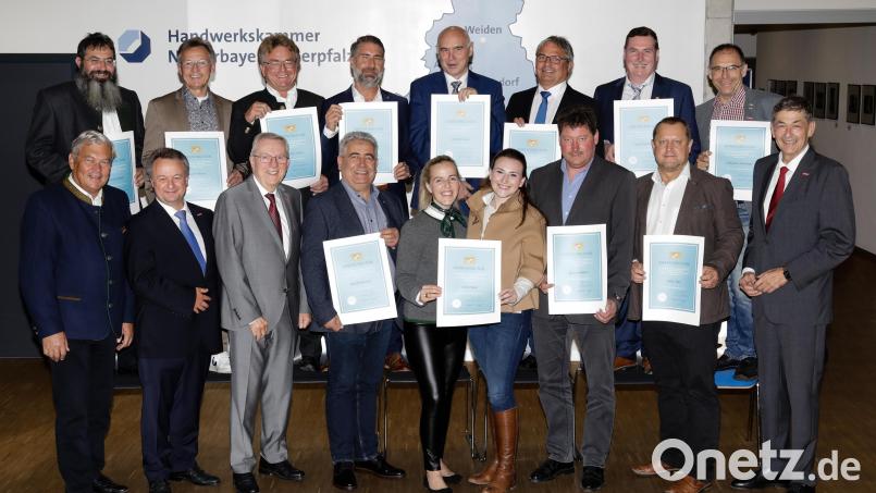 Für ihr Engagement um den Handwerksnachwuchs ehren HWK-Hauptgeschäftsführer Jürgen Kilger (vorne, Dritter von links) und HWK-Präsident Georg Haber (vorne, rechts) ostbayerische Betriebe und Ausbilder in Regensburg. Bild: Foto Graggo/exb
