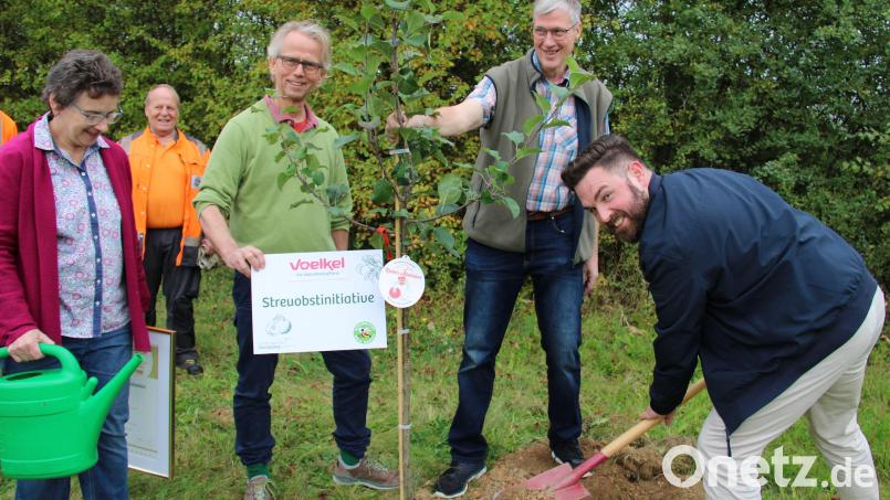 Bürgermeister Sebastian Dippold, Franz-Josef Baeck, Stefan Voelkl und Monika Baeck (von rechts) vom Naturkostladen Hollerbirl pflanzten unter Mithilfe von Mitarbeitern des Städtischen Bauhofs die ersten von insgesamt 13 Obstbäumen entlang des Pendlerparkplatzes an der Autobahnausfahrt Neustadt Nord. Bild: prh
