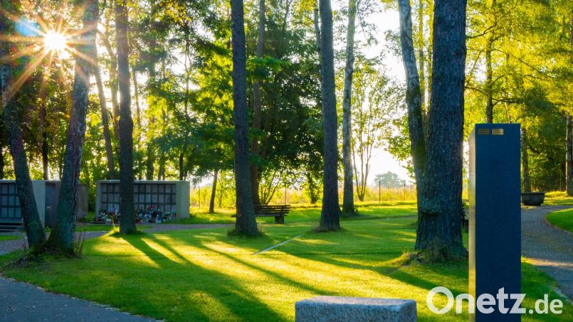 Auf dem Baum- und Wiesengrabfeld im Waldfriedhof ist nun auch eine Bestattung möglich. Bild: Stadt Weiden/exb