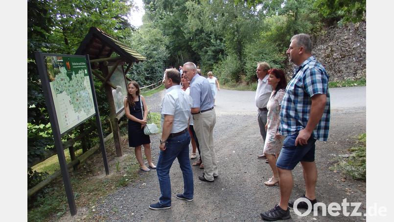 Eine kleine Naturpark-infostelle gibt es in Schweinmühle. Dort können sich Wanderer über den Walderlebnispfad informieren. Das beabsichtigte Naturparkzentrum in Windischeschenbach ist hingegen geplatzt Archivbild: wrt