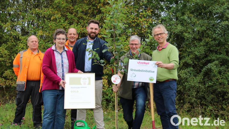 Bürgermeister Sebastian Dippold (Dritter von rechts), Franz-Josef Baeck (Zweiter von rechts), Stefan Voelkl (rechts) und Monika Baeck (Zweite von links) vom Naturkostladen Hollerbirl pflanzten unter Mithilfe von Mitarbeitern des Städtischen Bauhofs die ersten von insgesamt 13 Obstbäumen entlang des Pendlerparkplatzes an der Autobahnausfahrt Neustadt Nord. Die Pflanzbäume waren der Preis der Auszeichnung Bester Bioladen 2021 der Zeitschrift Schrot und Korn. Bild: prh