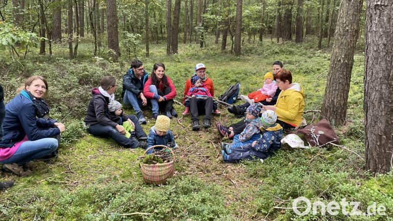 Aufmerksam hörten Groß und Klein im Wald zu, was ihnen Wanderführerin Martina Dötsch (rechts) erzählte. Bild: jzk