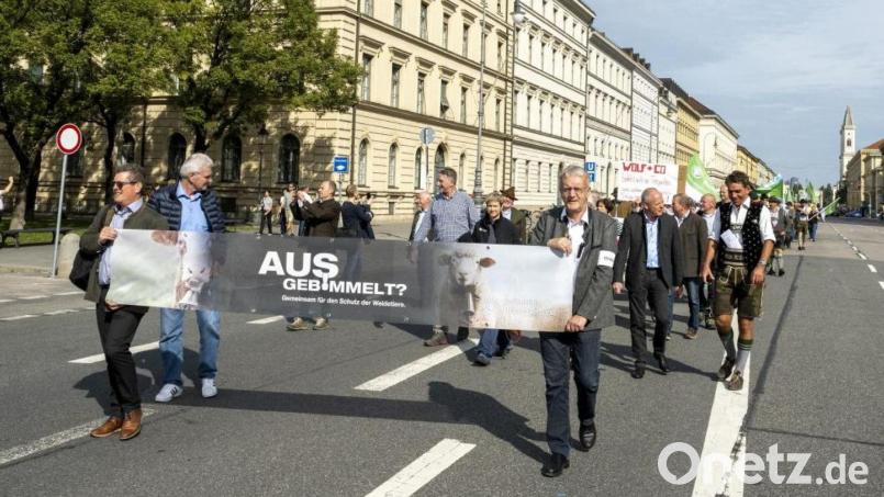 Der Bayerische Bauernverband, darunter auch Landwirte aus der Region, demonstrierten in München. Sie forderten einen besseren Schutz ihrer Weidetiere vor dem Wolf. Bild: BBV/exb