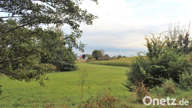 Wo jetzt noch Wiese und Maisfeld sind, sollen bald ein Fitness-Parcours, ein Parkplatz und ein Kunstrasenspielfeld entstehen. Bild: stg
