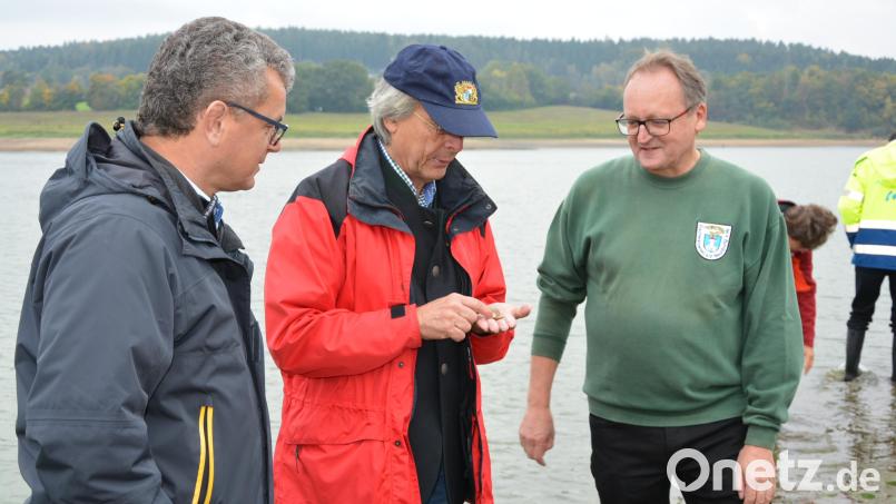 Bürgermeister Martin Birner (links), Regierungspräsident Axel Bartelt (Mitte) und der Vorsitzende des Fischereivereins Neunburg, Michael Throner (rechts) begutachten eine geborgene Muschel aus dem See. Bild: mis