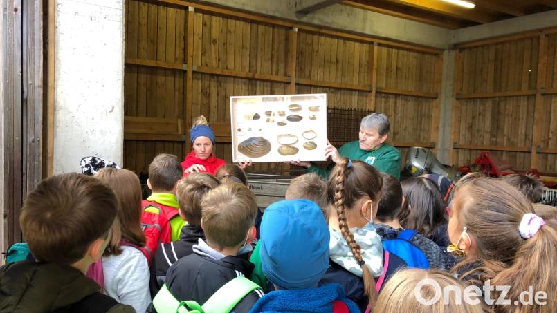 Stefanie Ruegg, Mitglied der Muschelkoordinationsstelle München, und ein Vertreter des Fischereivereins Neunburg erklären den Kindern alles rund um die Muscheln im Stausee. Bild: mis