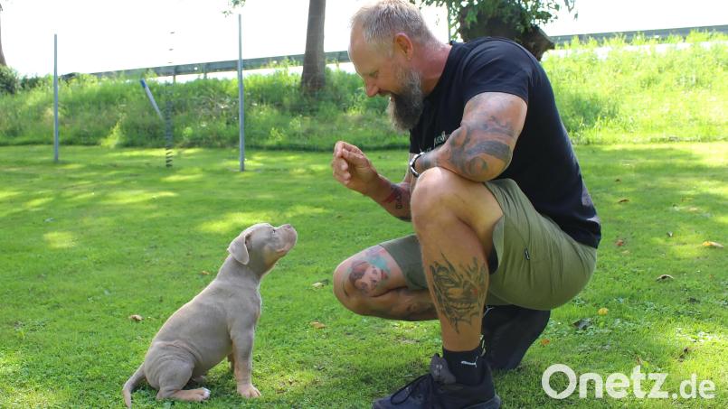 In der Welpenzeit wird der Grundstock für das spätere Verhalten des Hundes gelegt. Bild: Evi Wagner