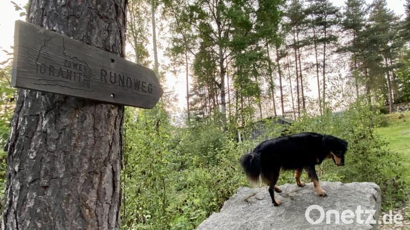 Die Neugestaltung des &quot;Weges des Granits&quot;, der erste von mehreren Themenwegen, ist angelaufen, die Aufträge für die neuen Infotafeln und einige Skulpturen sind vergeben. Bild: Eichl