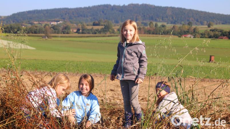 „Goldener Oktober – Erdäpflfest“ des Jungen Landvolks Waldthurn am Feld in Albersrieth. Bild: fvo