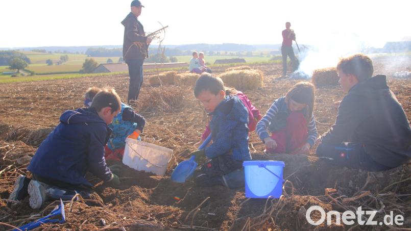 „Goldener Oktober – Erdäpflfest“ des Jungen Landvolks Waldthurn am Feld in Albersrieth. Bild: fvo