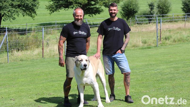 Peter Kick (links) und Johannes Stilp mit Vitali, einem Alabai (Zentralasiatischer Owtscharka). Aus dem &quot;verschmusten Teddybär&quot; aus dem Tierschutz wurde ein 90 Kilo schwerer Herdenschutzhund. Bei den &quot;Dog Brothers&quot; hat er nun ein artgerechtes Zuhause gefunden. Bild: Evi Wagner