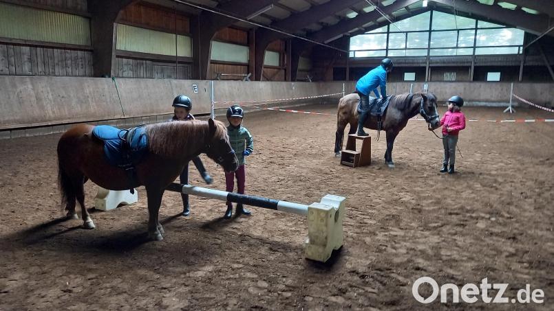 Der Reitverein Tirschenreuth kann neben dem Voltigierunterricht, dem weiterführenden Unterricht und dem geführten Ponyreiten mit „Hippolini“ ein neues Angebot für die Nachwuchsförderung in allen Altersgruppen machen. Bild: opp