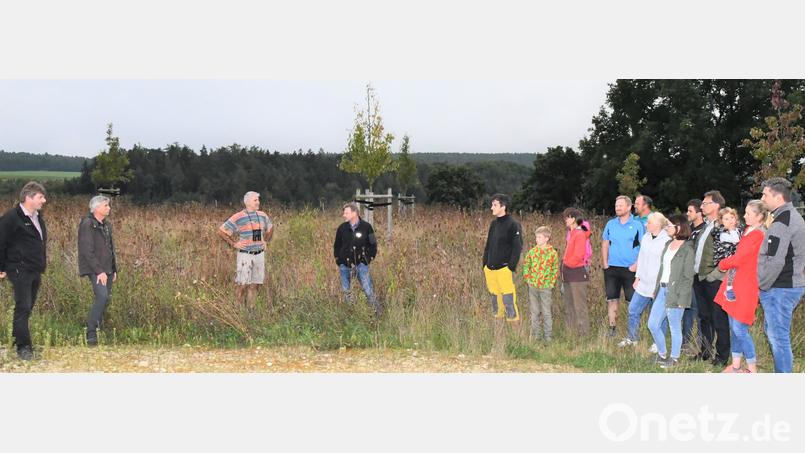 Die Neubürger im Baugebiet Aschach-Ost lassen sich von Diplom-Forstwirt Rudolf Leitl (Dritter von links) die neu angelegte Streuobstwiese erläutern. Bild: sche