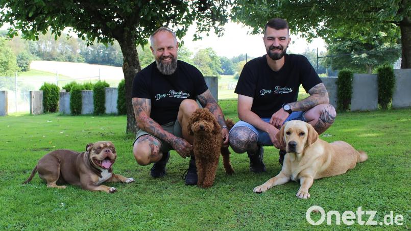 &quot;Sich einen Hund anzuschaffen, ist eine wichtige Entscheidung&quot;, so die Hundetrainer Peter Kick und Johannes Stilp. &quot;Deswegen sollte man sich für einen Vierbeiner entscheiden, der auch in den eigenen Alltag passt.&quot; Bild: Evi Wagner