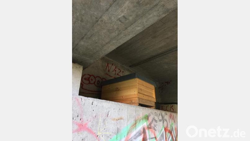 Ganz versteckt waren die Kirchenbienen unter der Brücke des Ehenbaches, wo sie ein aufmerksamer Beobachter entdeckte Bild: wku