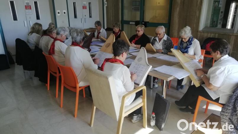 Die Veeh-Harfen-Gruppe der Musikschule Neustadt/WN erfreut mit sanften Klängen in der Hospizstation. Bild: krb