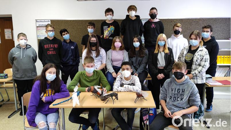 Vier verschiedene Insektenmodelle haben Jugendliche der Otto-Wels-Mittelschule Mitterteich im Rahmen eines Umwelt- und Kunstprojekts gebaut. Bild: Mittelschule Mitterteich/exb