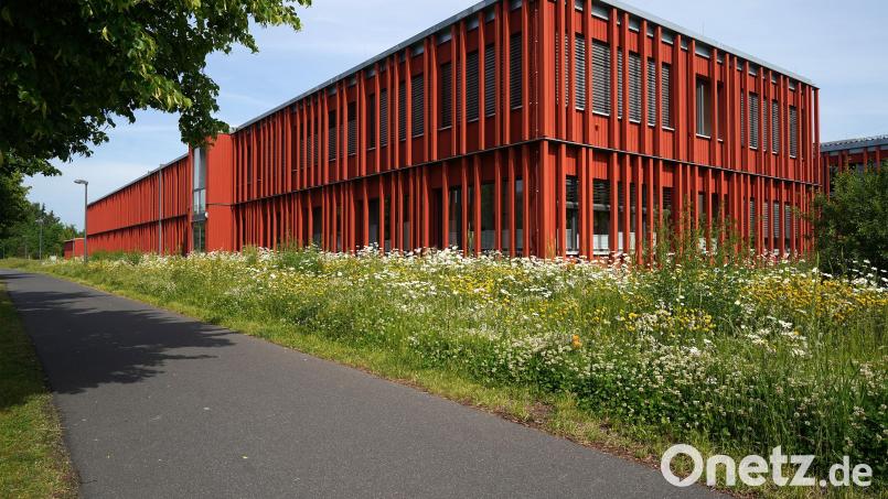 Entlang der Straße säumen Blühflächen das ALE-Gebäude ein. Bild:  Stefan Neumann/ALE Oberpfalz/exb