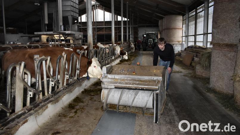 In der modernen Landwirtschaft laufen viele Prozesse über die Digitalisierung, auch auf dem Hof von Daniel Miedl in Haid bei Pullenreuth. Dafür braucht es das Internet. Ein automatisierter Futterroboter hilft etwa bei der Portionierung von Heu. Gibt es eine Störung, wird diese an den Landwirt weitergeleitet. Bild: lue