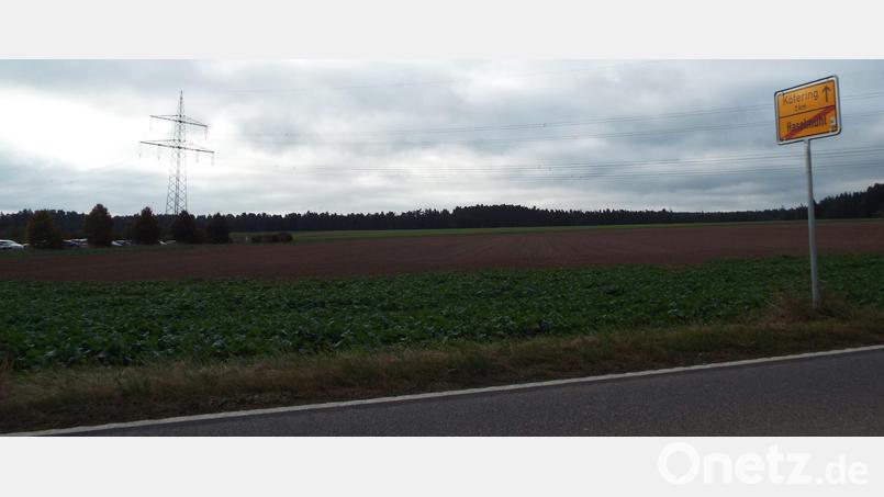 Das Gelände links nach der Einfahrt in Tor II zur Firma Grammer in Richtung Köfering ist Vorbehaltgebiet für die Westumfahrung. Deshalb darf das Areal nicht mit einem Solarpark in den vorgesehenen Ausmaßen bebaut werden. Bild: e