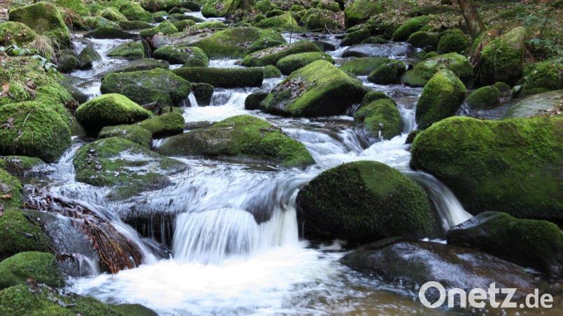 Das Lerautal gehört zu den klassischen Postkartenmotiven im Naturpark Nördlicher Oberpfälzer Wald. Archivbild: Ingrid Popp