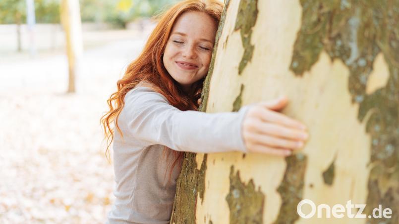 Bäume umarmen liegt nicht nur im Trend, sondern hat tatsächlich auch positive Auswirkungen auf unser Wohlbefinden. Bild: contrastwerkstatt - stock.adobe.com