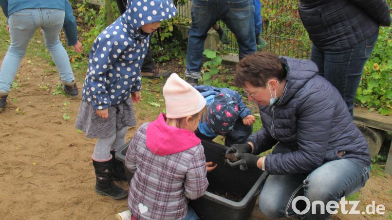 Mit Schaufeln, Spaten und Rechen pflanzte die Tigergruppe vom Kindergarten Li-La-Löhle Himbeerstauden. Bild: Kindertagesstätte Kemnath/exb