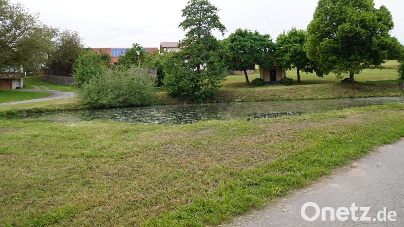 Für die Neugestaltung des Dorfweihers und der angrenzenden Freiflächen in Kiesenberg soll das Ingenieurbüro Posel Cham Kostenberechnungen erstellen, damit Fördermittel beantragt werden können. Bild: wel