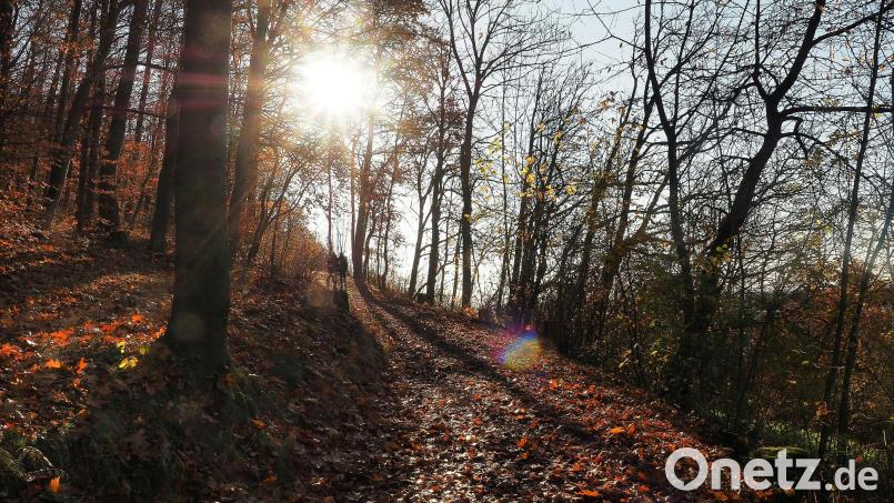 Ein paar Sonnenstrahlen lassen sich auch Mitte Oktober noch in der Oberpfalz blicken. Archivbild: Petra Hartl