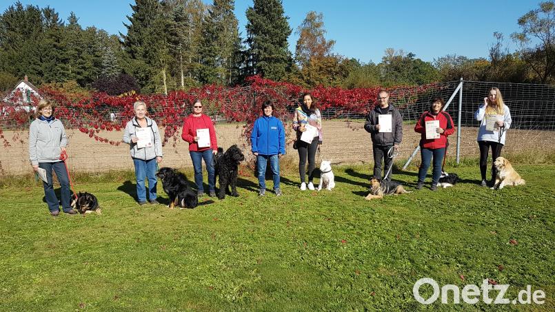 Die erfolgreichen Teilnehmer der Begleithundeprüfung beim Zug- und Begleithundeverein Weiden. Bild: André Petzold/exb