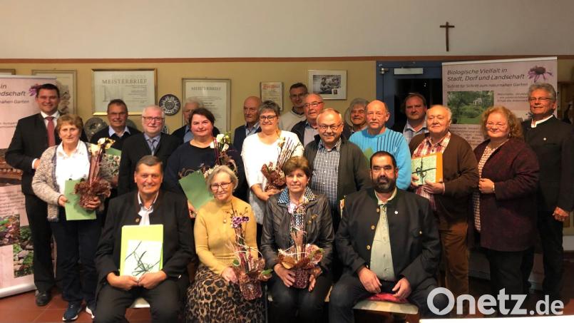 Landrat und Erster Vorsitzender Thomas Ebeling (hinten links) ehrte mit dem stellvertretenden Bezriksverbandsvorsitzenden Konrad Weinzierl (rechts) und Geschäftsführerin Heidi Schmid (rechts) 22 Mitglieder des Kreisverbandes für Gartenbau und Landespflege Schwandorf für ihren grünen Daumen. Bild: mis