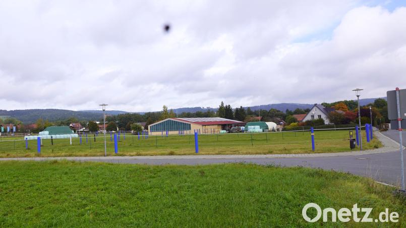 Dauerstreitthema beim Bebauungsplan Steinäcker sind die Auflagen für einen Pferdestall mit einer Reithalle und den Pferdekoppeln. Bild: bkr