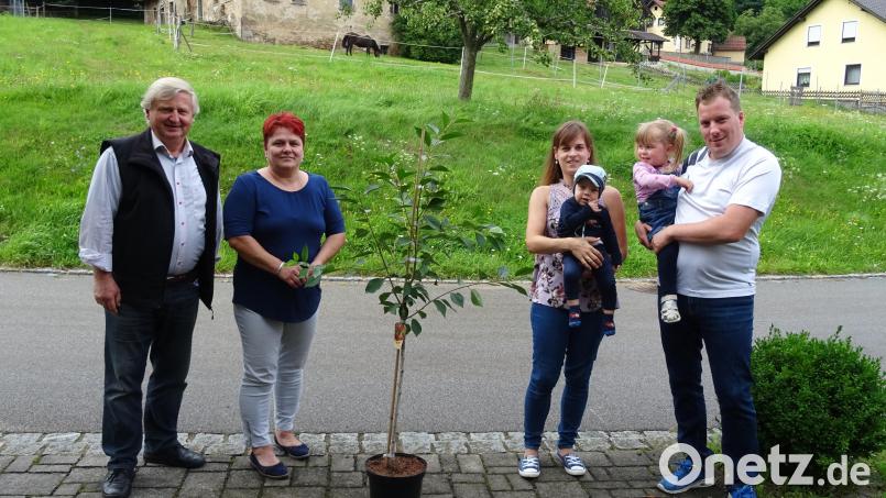Das Führungsduo des Gartenbauvereins übergab den Baum an die Familie Meixensperger Bild: rkp