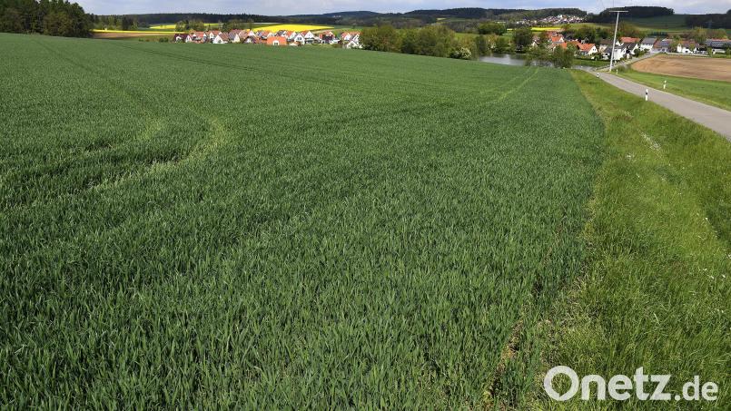 Die Stadtwerke würden am Postweiher gerne eine Freiflächen-Photovoltaikanlage errichten. Das Aufstellungsverfahren für den vorhabenbezogenen Bebauungsplan steht kurz vor dem Abschluss. Bild: Petra Hartl