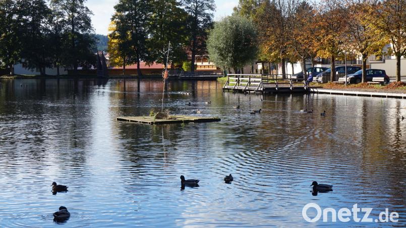 Diese Installation schuf Aleš Hnízdil auf einem Ponton im Hahnenweiher. Bild: eib