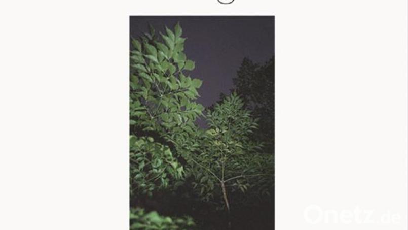 Devendra Banhart &amp; Noah Georgeson: Refuge Bild:  Dead Oceans
