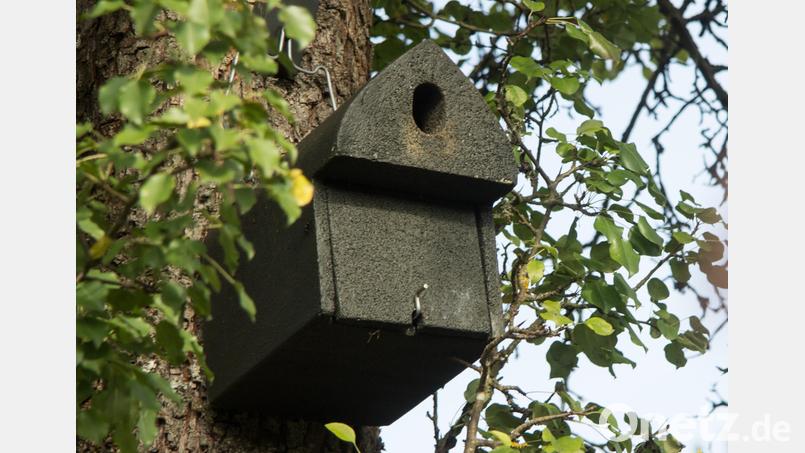 Nistkasten wie hier für Meisen werden an die Ursensollener Bürger verteilt. Bild: Jonas Nelhiebel/exb