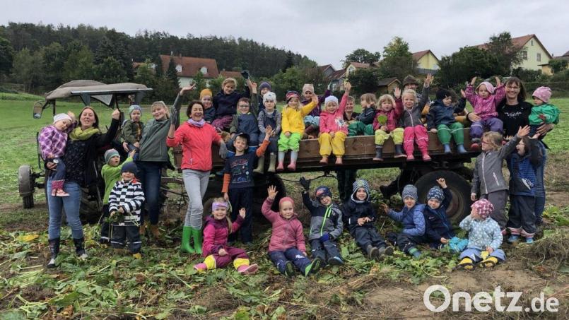 Die Buben und Mädchen des Schwarzachtal-Kindergartens Schwarzhofen durften Rüben ernten. Bild: Monika Steffens/exb