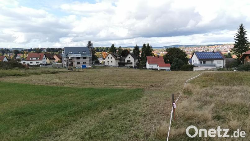 Auf dieser Wiese am südlichen Stadteingang in Nähe der Bundesstraße 22 entsteht ein neues Wohngebiet mit rund 70 Wohneinheiten samt Tiefgarage im Innenhof. Der Durchführungsvertrag mit der Stadt ist unterzeichnet. Bild: Portner