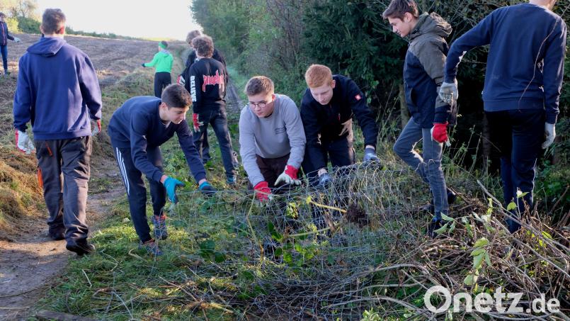 Fleißig Hand angelegt haben die Schülerinnen und Schüler des Neustädter Gymnasiums der Klassen 10a und 10b in der Flosser Gemeindewaldung „Buchhölzl“. Bild: le