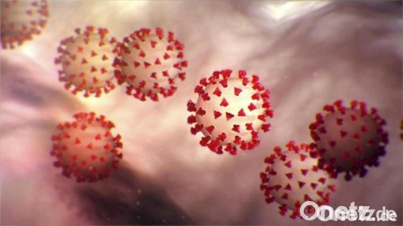 Vor allem an der Pirker Schule treibt das Coronavirus zurzeit sein Unwesen. Bild: Center for Disease Control/Planet Pix via ZUMA Wire/dpa