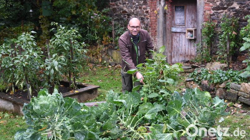 Thomas Huber, stellvertretender Leiter der Stadtgärtnerei, schaut im Stadtgarten nach dem Rechten. Die verschiedenen Obst- und Gemüsesorten kann jeder abernten. Bild: Gabi Schönberger