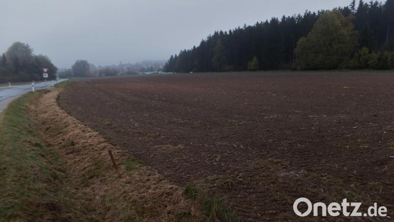 Der Bebauungsplan mit integrierter Grünordnung für das neue 38 000 Quadratmeter große Gewerbegebiet „Neusorg-Süd II“ an der Gemeindeverbindungsstraße von Neusorg nach Stöcken (unser Bild) wird mit Feststellungs- und Satzungsbeschluss rechtskräftig. Bild: br