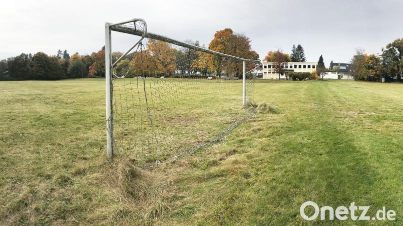 Landet ein privater Investor oder die Stadt auf dem Turnerbundgelände den entscheidenden Treffer? Wer als Bauherr auftreten darf, kann dieses 3,5 Hektar große Gelände am Hammerweg mit Wohnungen bestücken. Bild: Gabi Schönberger