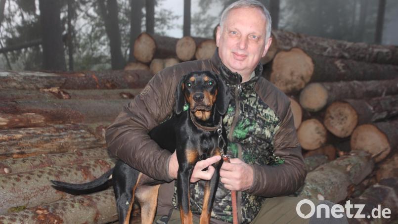 Ein Team: Peter Hamm mit seiner sieben Monate alten Schwarzwildbracke &quot;Juna&quot;. Bild: kro