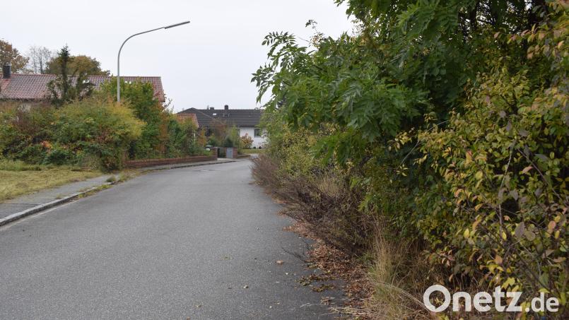 Das Zurückschneiden von Bäumen und Sträuchern an öffentlichen Straßen gehört zu den Pflichten jedes Grundeigentümers. Ein Verkehrsgefährdung muss ausgeschlossen werden. Bild: bnr