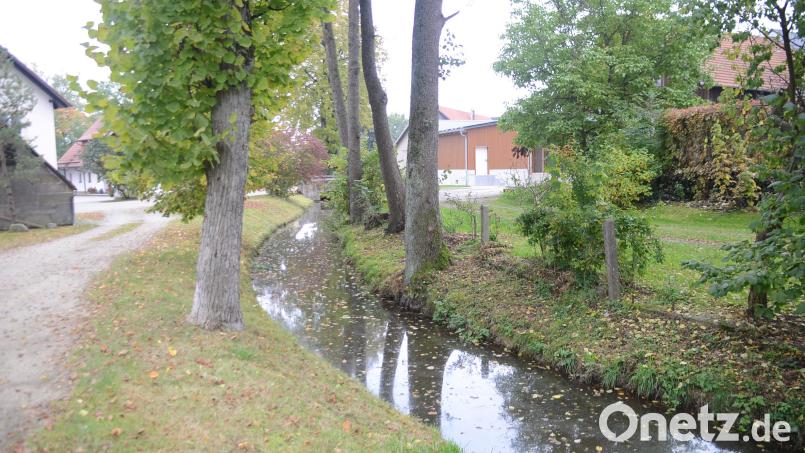 Im bisherigen Schutzkonzept ist auch in Speichersdorf die Maßnahme am Aubach unterhalb der Brücke in der Kemnather Straße priorisiert. Bild: ak