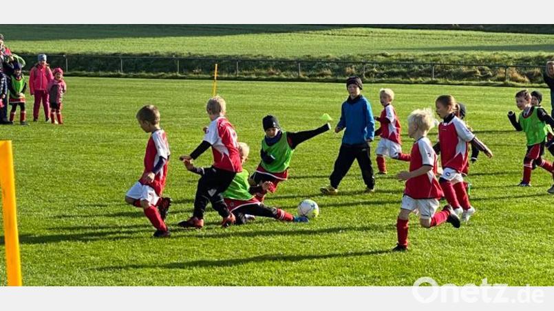 Vollen Einsatz zeigten die Stars von morgen beim Turnier in Eschenfelden. Bild: lei