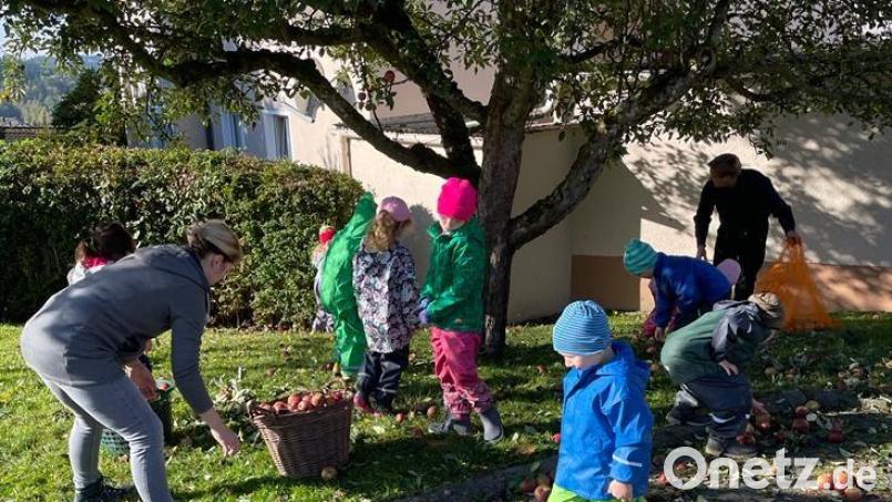 Eine reiche Apfelernte für den Flossenbürger Kindergarten, die Grundschule und die Gemeinde aus dem „Garten der Gemeinde“. Bild: cro